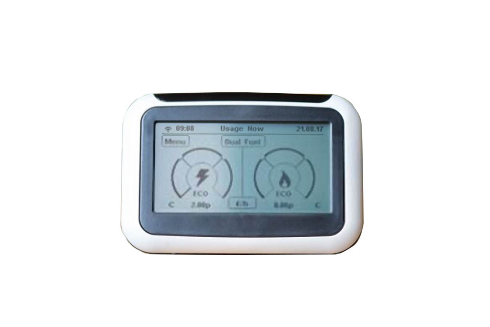 Domestic Energy Smart Meter